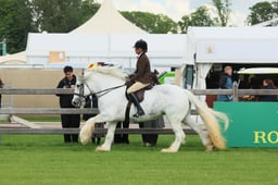 S28_7183 2026