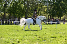 S19_8513 2026