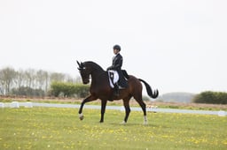B15_0103 2026