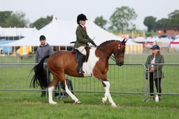 C34_0062 2026
