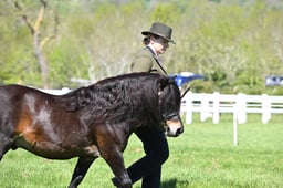 S19_7676 2026