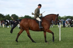 E36_0442 2026