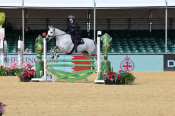 19 FORCES EQUINE POLICE TEAM