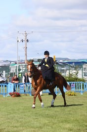 E46_0750 2026