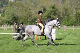 C19_0459 2026
