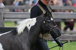 S28_8665 2026