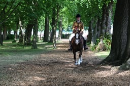 F47_5570 2026