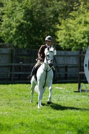 M19_0637 2026