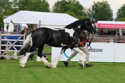 S28_9773 2026