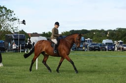 E36_0050 2026