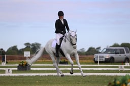 A20_0314 2026