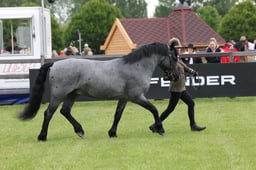 W29_0623 2026