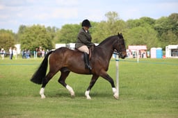 W36_2188 2026