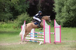 A57_4125 2026