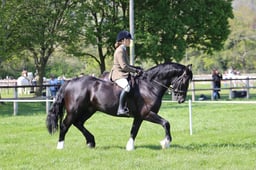 C19_0860 2026