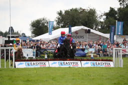 SHETLAND PONY GRAND NATIONAL 1