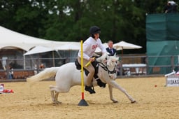 H31_1548 2026