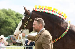 E36_1097 2026