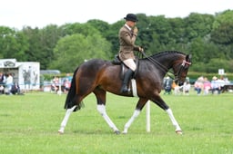 H36_8402 2026