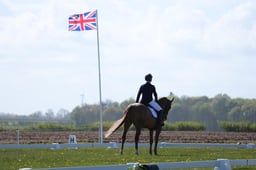 156 MHS GLOBAL COOLEY