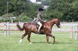 E43_0322 2026