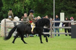 S30_4733 2026