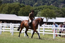 H108-107 RIDDEN HUNTER CHAMPIONSHIP