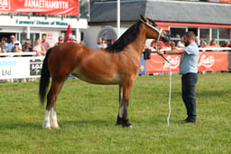 E69_0723 2026