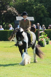 S61_0470 2026
