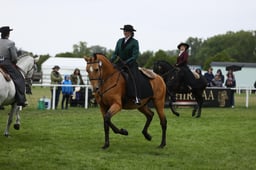 E30_5516 2026