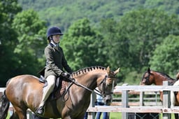 H181 TSR Amateur Ridden Plaited