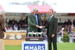 S25_1723 2026