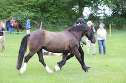 J36_6622 2026