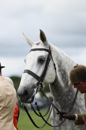 E36_0815 2026