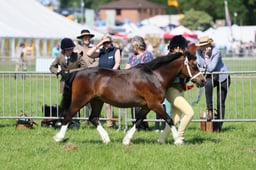 C33_0948 2026