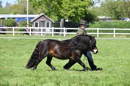 S19_8083 2026