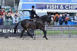 122 Side Saddle Concours