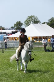 E33_5081 2026