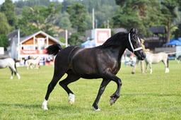 H69_1738 2026