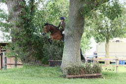 H29 HOYS M&M WHP exc 143cms