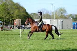 M19_0932 2026