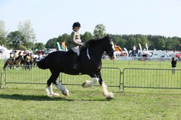E33_0506 2026