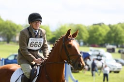668 BLACKFORT GINGER