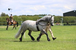 J36_7437 2026