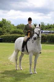 53 Unaffiliated Ridden Hunters