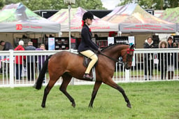 69 RIHS Show Pony 138cm