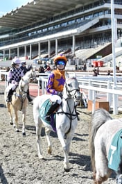 Paddock & Winners Enclosure