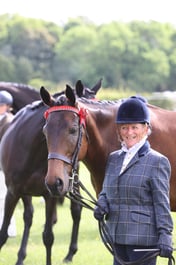 57 SEIB YHL Plaited Horse In Hand