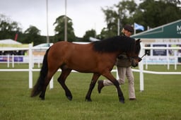 E45_0540 2026