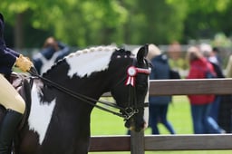S28_7616 2026